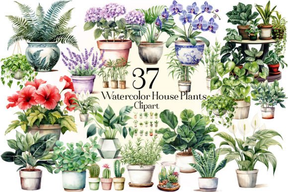 Download Watercolor House Plants Clipart - Clipart Collection