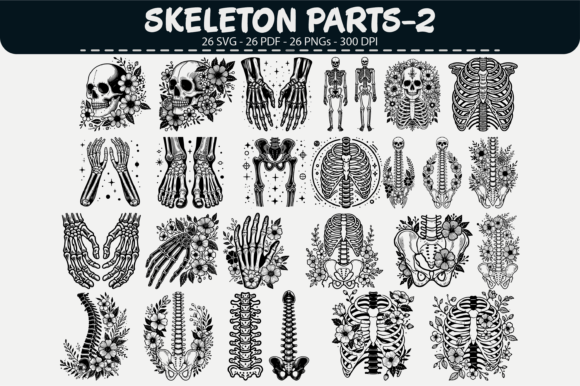 Download Skeleton Parts Vector Clipart – 26 Desig - Clipart Collection