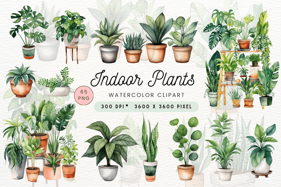 Download Watercolor Indoor Plants Clipart - Clipart Collection